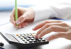 重點稅源企業(yè)報表填報指南