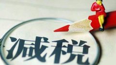 國(guó)務(wù)院關(guān)于減稅降費(fèi)工作情況的報(bào)告